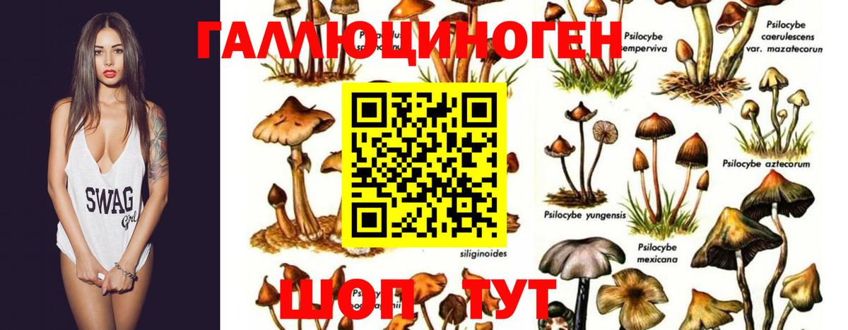 Псилоцибиновые грибы мухоморы  Галлюциногенные грибы мухоморы  Вход с VPN  Жуковский 